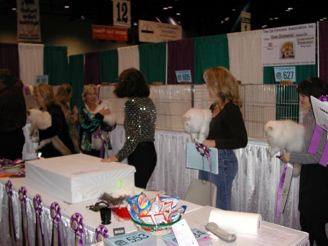 CFA Nationals 2002 - Houston, Texas