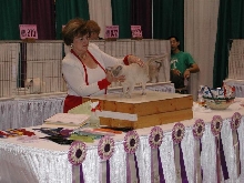 CFA Nationals 2002 - Houston, Texas