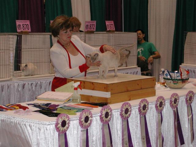 CFA Nationals 2002 - Houston, Texas