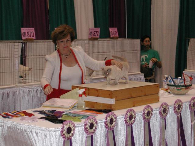 CFA Nationals 2002 - Houston, Texas