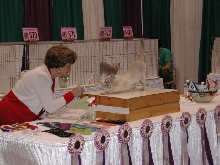 CFA Nationals 2002 - Houston, Texas