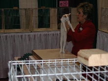 CFA Nationals 2002 - Houston, Texas