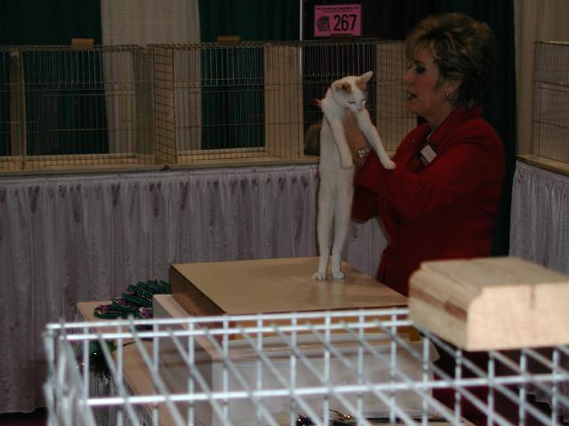 CFA Nationals 2002 - Houston, Texas