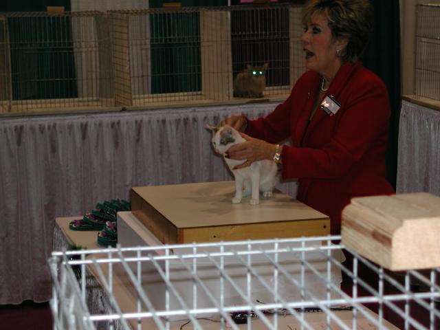 CFA Nationals 2002 - Houston, Texas