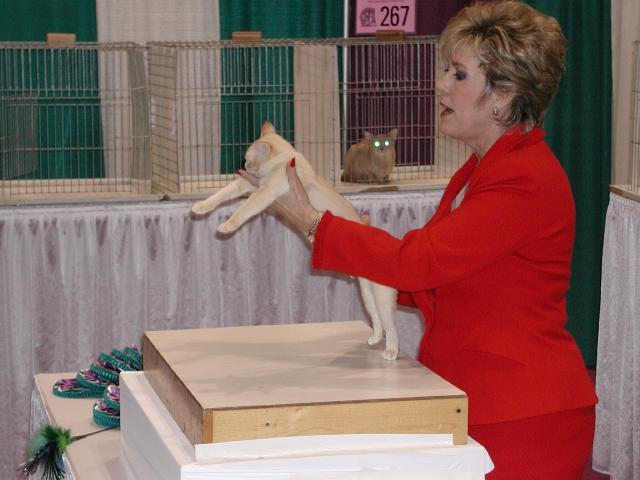 CFA Nationals 2002 - Houston, Texas