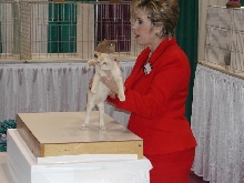 CFA Nationals 2002 - Houston, Texas
