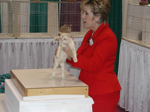 CFA Nationals 2002 - Houston, Texas