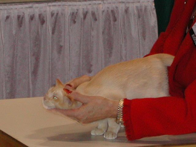 CFA Nationals 2002 - Houston, Texas