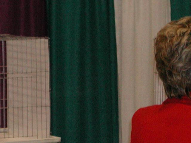 CFA Nationals 2002 - Houston, Texas