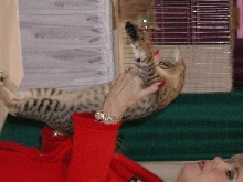 CFA Nationals 2002 - Houston, Texas