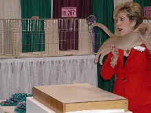 CFA Nationals 2002 - Houston, Texas