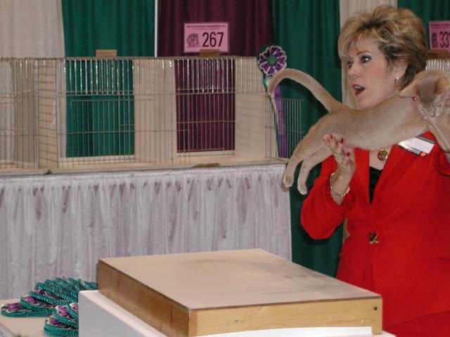 CFA Nationals 2002 - Houston, Texas