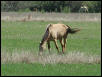 Georgetown, Texas - April 2003