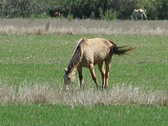 Georgetown, Texas - April 2003