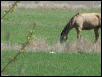 Georgetown, Texas - April 2003