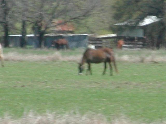 Georgetown, Texas - April 2003