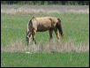 Georgetown, Texas - April 2003