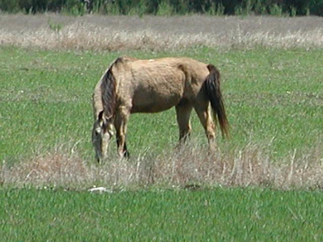 Georgetown, Texas - April 2003