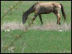 Georgetown, Texas - April 2003