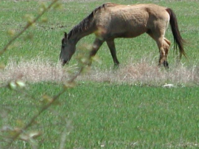 Georgetown, Texas - April 2003
