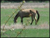 Georgetown, Texas - April 2003