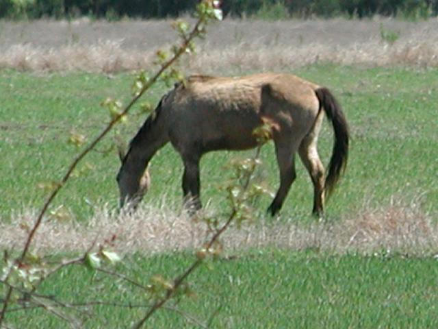 Georgetown, Texas - April 2003