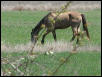 Georgetown, Texas - April 2003