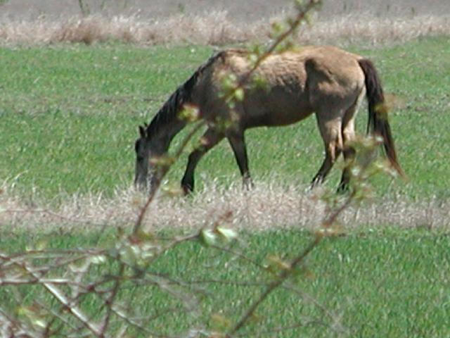 Georgetown, Texas - April 2003