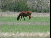 Georgetown, Texas - April 2003
