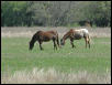 Georgetown, Texas - April 2003