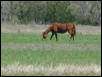Georgetown, Texas - April 2003
