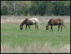 Georgetown, Texas - April 2003