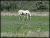 Georgetown, Texas - April 2003