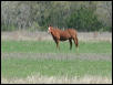 Georgetown, Texas - April 2003