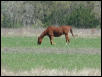 Georgetown, Texas - April 2003