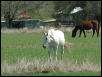 Georgetown, Texas - April 2003