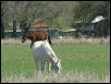 Georgetown, Texas - April 2003
