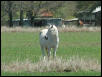 Georgetown, Texas - April 2003