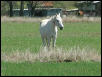 Georgetown, Texas - April 2003