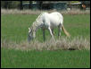 Georgetown, Texas - April 2003