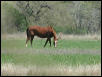 Georgetown, Texas - April 2003