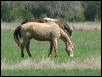 Georgetown, Texas - April 2003