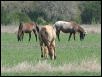 Georgetown, Texas - April 2003