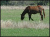 Georgetown, Texas - April 2003