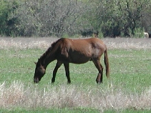 Georgetown, Texas - April 2003