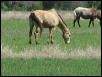 Georgetown, Texas - April 2003