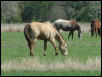 Georgetown, Texas - April 2003