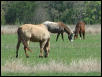 Georgetown, Texas - April 2003