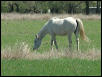 Georgetown, Texas - April 2003