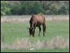 Georgetown, Texas - April 2003